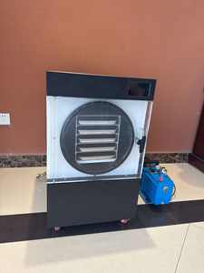 Автоматическая бытовая и коммерческая сублимационная сушилка из нержавеющей стали на 4-6 кг с насосом и двигателем — мини-сублимационная сушилка Airwoods - Product Image 1