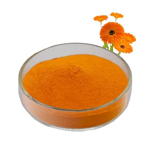 Factory Supply High Quality Lutein Powder Best Price Lutein