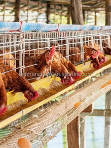 Alimento para Aves de Corral MCP 22% en Polvo/Granulado, Fosfato Monocálcico 23% de Grado Alimenticio, Mono-Dicalcium Phosphate MDCP 21% - Product Image 4