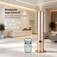 Diffuseur d'arômes sans eau en métal de 500 ml, machine à parfum intelligente avec contrôle par application pour hôtel, spa, maison, bureau