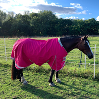Couverture d'hiver pour cheval, grande taille, respirante, en tissu ripstop, col standard, avec sangle croisée sous le ventre, taille stable pour un confort et une chaleur optimaux