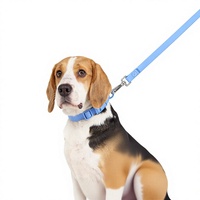 Ensemble collier et laisse pour animaux de compagnie en PVC Macaron, imperméable, phosphorescent, résistant aux odeurs, facile à nettoyer, durable, doux, avec logo personnalisé