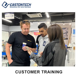 Máquina Engarzadora de Terminales Eléctricos EW-09 2-5T, Máquina Prensadora de Terminales de Anillo - Product Image 5