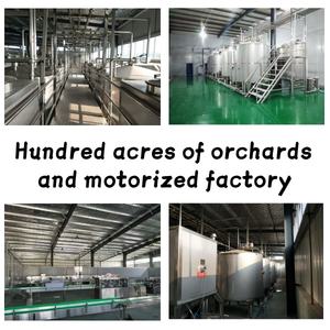 Litchi à la prune verte naturellement <span class=keywords><strong>fermentée</strong></span> Pêche et <span class=keywords><strong>cerise</strong></span> 330ml Vin en bouteille en verre à 8 degrés - Product Image 6