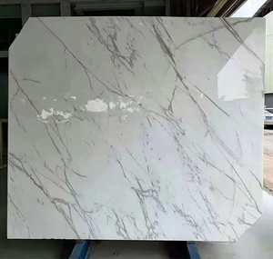 Dalle <span class=keywords><strong>de</strong></span> marbre blanc <span class=keywords><strong>de</strong></span> Carrare polie avec veines grises, marbre naturel pour la décoration murale des halls d'hôtels <span class=keywords><strong>de</strong></span> luxe et des intérieurs <span class=keywords><strong>de</strong></span> villas - Product Image 5