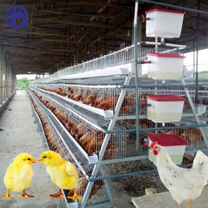 Équipement automatique pour cages à poulets : Cage à poules pondeuses à 4 niveaux (modè<span class=keywords><strong>le</strong></span> A ou <span class=keywords><strong>H</strong></span>) pour ferme avicole de 45 000 poulets - Product Image 1