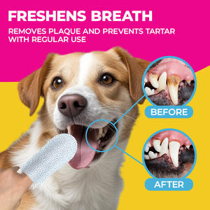 Natuurlijk Ingrediënt Alcoholvrije Oorreiniging Van Huisdieren Vingerdoekjes Oordoekjes Kattenhond Oordoekjes Voor Hondenkat - Product Image 2