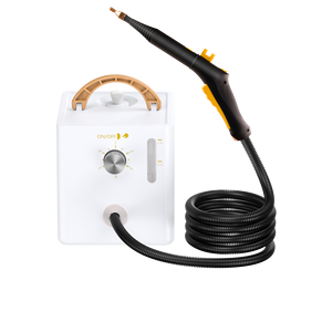 Défroisseur vapeur électrique portatif 2600W avec réservoir d'eau de 1L, chauffage rapide en 30 secondes, réglage multi-niveaux sec/humide, pression vapeur de 2-3,5 bars - Product Image 1