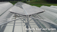 Grande Serre Gothique pour l'Agriculture Multi Span Poly Film Low Cost PE Material Sale pour Grande Serre Gothique