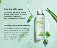 OEM Gel d'aloe vera biologique pur 100% Hydratant pour le visage Crème apaisante et éclaircissante Gel d'Aloe Vera Gel pour le visage de marque privée