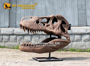 Cráneo de Tiranosaurio Rex de Tamaño Real MyDino - Product Image 2