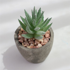 Mini Suculenta Artificial en Maceta de Papel Gris con Componentes de Plástico para Decoración de Interiores/Exteriores, Hogar u Oficina (Color Personalizable) - Product Image 5