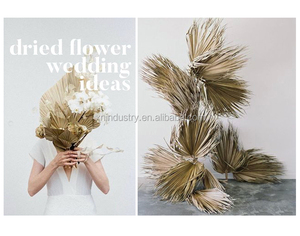 <span class=keywords><strong>Venta</strong></span> <span class=keywords><strong>al</strong></span> por mayor <span class=keywords><strong>de</strong></span> <span class=keywords><strong>flores</strong></span> secas, varias formas, decoración natural para bodas, decoración interior y exterior, hojas <span class=keywords><strong>de</strong></span> palma secas grandes - Product Image 4