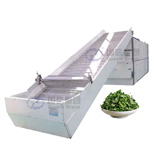 Séchoir continu à économie d'énergie OEM pour feuilles de Moringa, équipement de séchage à bande maillée pour la transformation du foin et des feuilles de Moringa - Product Image 1