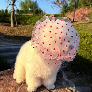 Capuche en maille respirante anti-morsure pour chat et chien, pour éviter de lécher les plaies en <span class=keywords><strong>erreur</strong></span> - Product Image 5