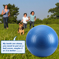 Ballon jouet pour cheval - Matériau PVC durable, jouet interactif gonflable pour équidés, soulage le stress du cheval, adapté à l'écurie/extérieur