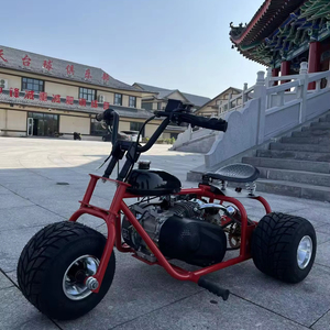 Mini-tricycle <span class=keywords><strong>motorisé</strong></span> rapide pour adultes, 212cc, quatre temps, à essence, tout-terrain, personnalisé, en gros de Chine, en stock à vendre - Product Image 2