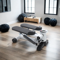 Équipement d'entraînement à domicile Stepper d'escalier pour l'exercice Mini Steppers avec bande de résistance Hydraulic Fitness Stepper