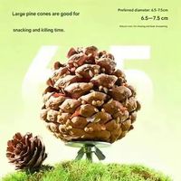 Jouet à mâcher naturel pour oiseaux Quanying en forme de cône de pin, boule de friandise multi-céréales pour perroquet, perruche, affûtage du bec
