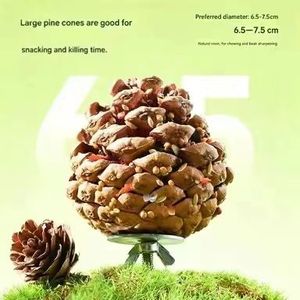 Juguete Masticable Natural de Piña de Pino Quanying para Aves, <span class=keywords><strong>Bola</strong></span> de Forraje Multigrano para Loros y Agapornis, para Afilar el Pico - Product Image 2