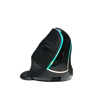 2023 nouveau produit vente en gros souris ergonomique 2.4G verticale main droite souris filaire sans fil rvb