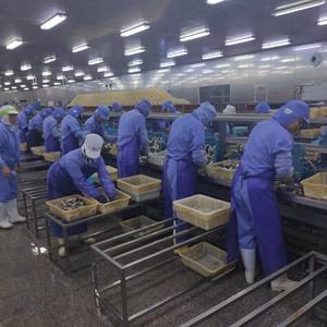 Venda quente de sardinhas enlatadas populares, rico em peixe enlatado de ômega-3, fornecedor chinês - Product Image 6