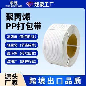 PP <b>Strapping</b> Band 12mm Manual Durable Machine Packing Tape - Product Image 5
