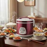 Cuisinière à riz électrique portable multifonctionnelle avec revêtement antiadhésif, cuisson rapide pour hôtel et usage domestique