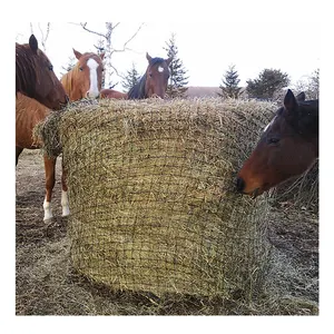Commercio all'ingrosso di grande formato durevole lento feeder horse rotonda balla di fieno netto per la vendita