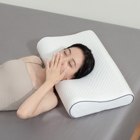 US Standard Queen King Size Polyester Out Cover Mold Oreiller de contour en mousse à mémoire de forme avec rouleau