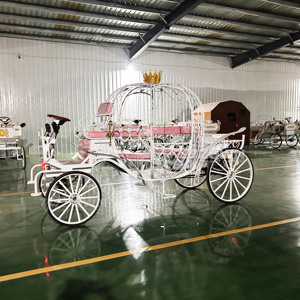 รถม้าฟักทองสีขาวคุณภาพสูง ราคาไม่แพง รถม้าฟักทองสำหรับงานแต่งงาน รถม้าไฟฟ้า ดีไซน์ใหม่ - Product Image 6