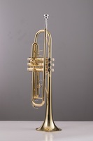 Brass Trumpet for Student