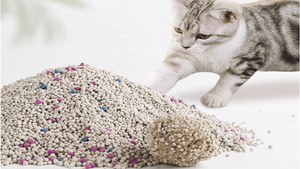 Miglior Lettiera per <span class=keywords><strong>Gatti</strong></span> Premium Agglomerante al Carbone Attivo e Bentonite, Vendita all'Ingrosso - Product Image 2