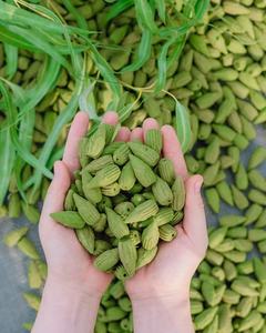 ธูปหอมอโรมาเธอราพีรูปกรวยทำมือจากใบยูคาลิปตัสออร์แกนิกที่เป็นมิตรต่อสิ่งแวดล้อม กลิ่นหอมธรรมชาติยาวนานสำหรับใช้ในบ้าน - Product Image 1