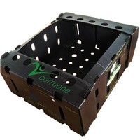 Boîtes d'emballage pour fruits, boîtes en plastique ondulé, boîtes en plastique pour fruits, boîtes d'emballage pour légumes, boîtes en plastique pour légumes