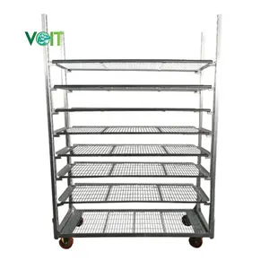 Racks galvanizados móveis para armazenamento e transporte de flores em viveiro de plantio de fazenda