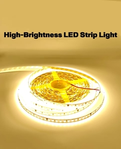 Tira de Luz LED Flexible SMD 2835 de Venta al Por Mayor de Fábrica, 60 LED/m, Longitud OEM, Color Personalizado, Garantía de 3 Años, CE - Product Image 4