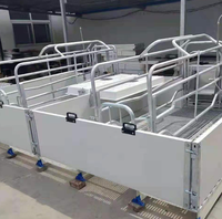 Cage de mise bas de type européen avec conception anti-écrasement et plancher à lattes en fonte