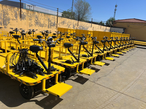 Carro de Transporte Eléctrico de Plataforma Plana de Alta Eficiencia, Nuevo Carro de Carga de Acero para Restaurantes e Industrias Manufactureras - Product Image 6
