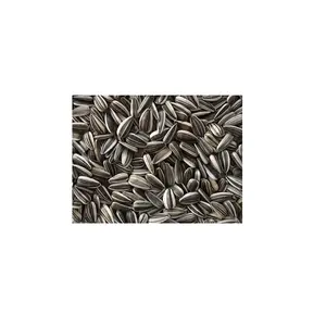 Best Selling Stripped Sunflower Bird Mix Food from Direct Manufacturer and Supplier
