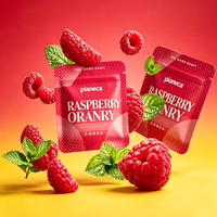 Nouvel Arrivage – Vente en Gros – Bâtonnets Inhalateurs Personnalisables avec Noyaux de Saveur Rechargeables – Inhalateur pour Arrêter de Fumer – Sachets de Recharge Goût Framboise