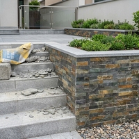 Carreaux de pierre calcaire naturelle pour la décoration intérieure de luxe, la conception de sols d'hôtels et les projets de bâtiments commerciaux modernes