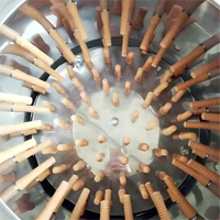 Plumeuse à poulet motorisée en acier inoxydable de haute qualité, équipement de traitement de volailles, capacité de 600 poulets/heure pour usage agricole