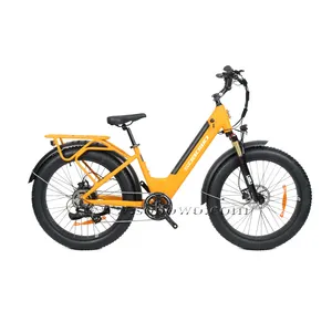 Step Through Fat Tire Electric Bike 750w Powerful Commuting Lithium Battery Electric Bicycle