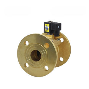 Válvula Solenoide Operada por Piloto con Brida de Latón/Acero Inoxidable DN15-DN100 |   DELCO - Product Image 1