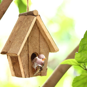 Nhà chim treo bằng gỗ tự nhiên để trang trí sân vườn trong nhà ngoài trời, nhà cho chim hoang, nơi trú ẩn, vật tư - Product Image 3