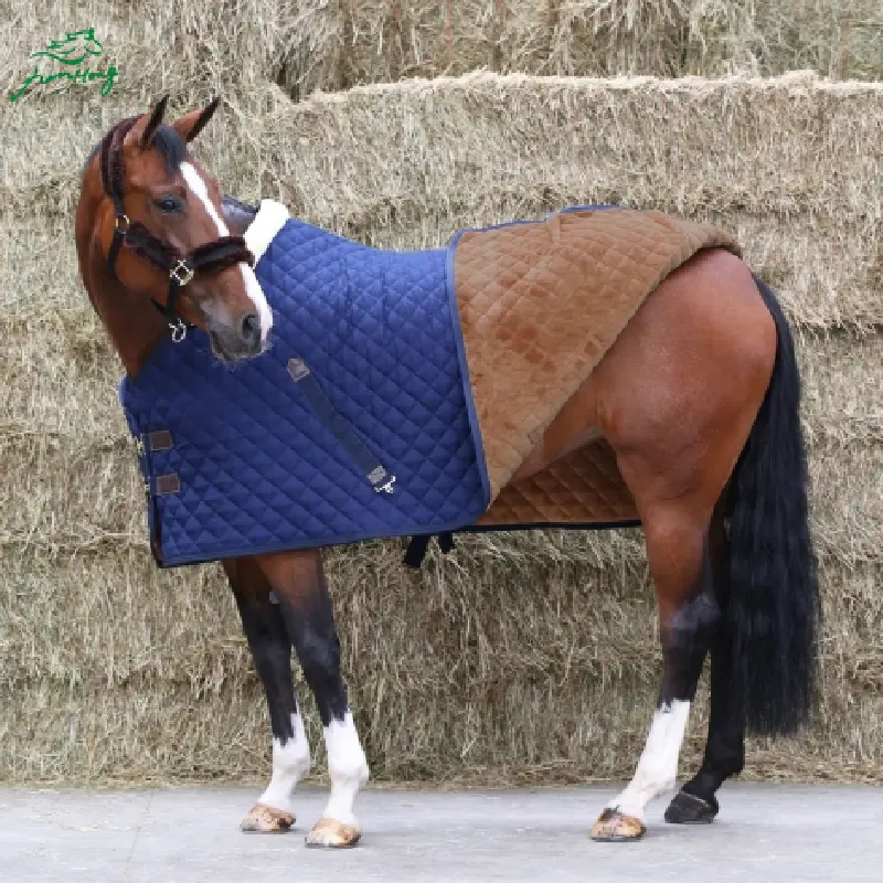 Tapis d'équitation réglable, tapis d'équitation Stable