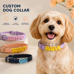 Nouveau <span class=keywords><strong>collier</strong></span> <span class=keywords><strong>pour</strong></span> animaux de compagnie en gel de silicone, personnalisable <span class=keywords><strong>avec</strong></span> nom, lettres de dessin animé douces, <span class=keywords><strong>pour</strong></span> chats et chiens - Toutes saisons, thème Halloween - Product Image 1