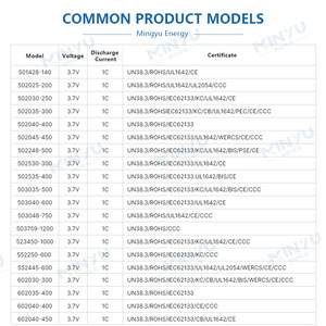 Paquete de baterías de bolsa de iones de litio comercial de larga duración 7,4 V/5000mAh personalizadas profesionalmente recargables - Product Image 5