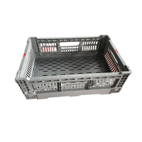 Robuuste 24L opvouwbare plastic opvangbak - milieuvriendelijke, stapelbare, geventileerde bak voor bulk fruit/groenten